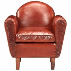 VidaXL Fauteuil tube Marron 77x65x79 cm Cuir véritable -Fauteuils Soldes image 2 286949