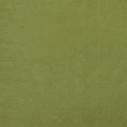 VidaXL Chaise de relaxation Vert clair Velours et PVC -Fauteuils Soldes image 2 327900