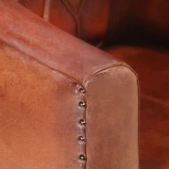 VidaXL Fauteuil Marron Cuir véritable -Fauteuils Soldes image 5 321867