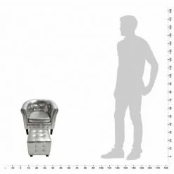 VidaXL Fauteuil avec repose-pied Argenté Similicuir -Fauteuils Soldes image 5 60709