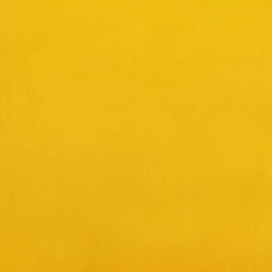 VidaXL Chaise de détente et repose-pied Jaune moutarde Velours 13 VidaXL Chaise de détente et repose-pied Jaune moutarde Velours -Fauteuils Soldes image 6 3097827